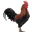 [coq]