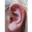 [ear]